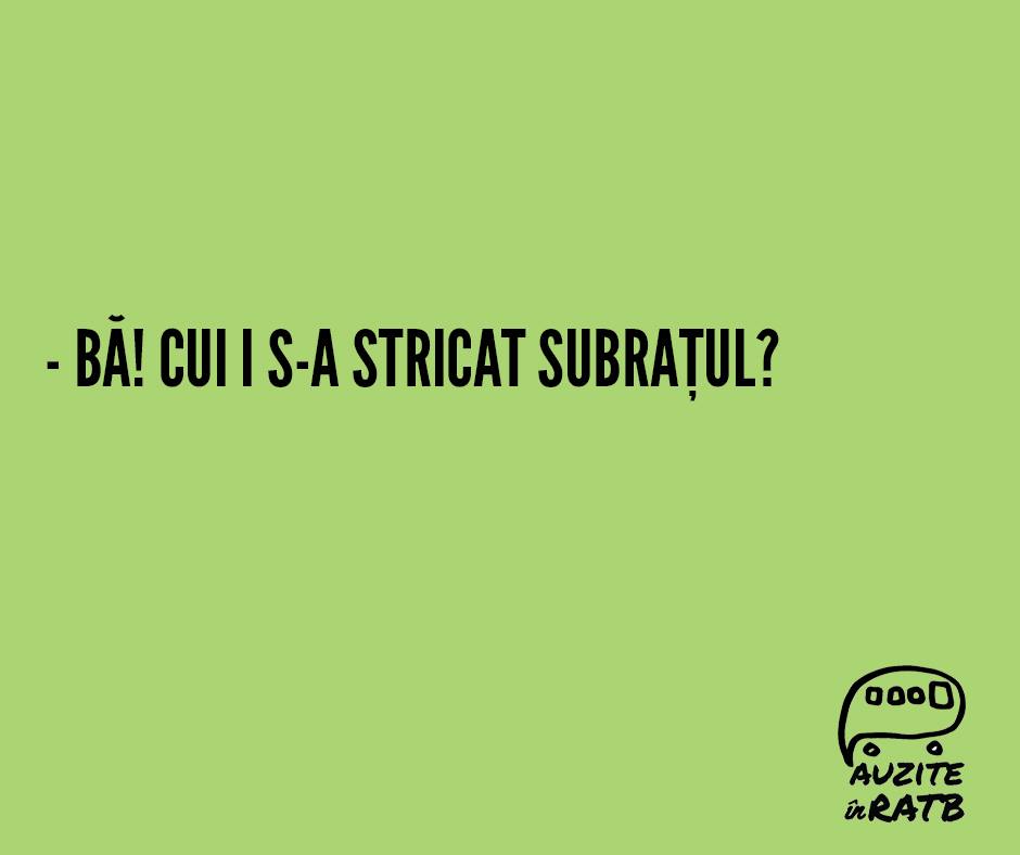 Auzita de Mihaela in 1