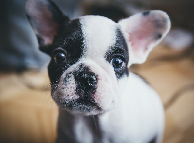 O privire valoreaza mai mult decat o mie de cuvinte