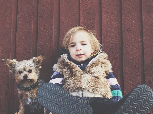 "Cainele a fost creat pentru copii. El este zeul veseliei". (Henry Ward Beecher)