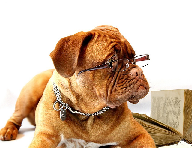 Trebuie sa mai si studiem!