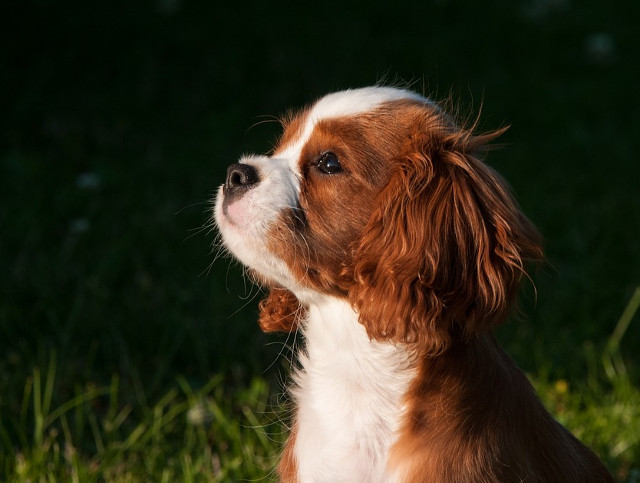 Sigur ne protejeaza cineva de acolo de sus!