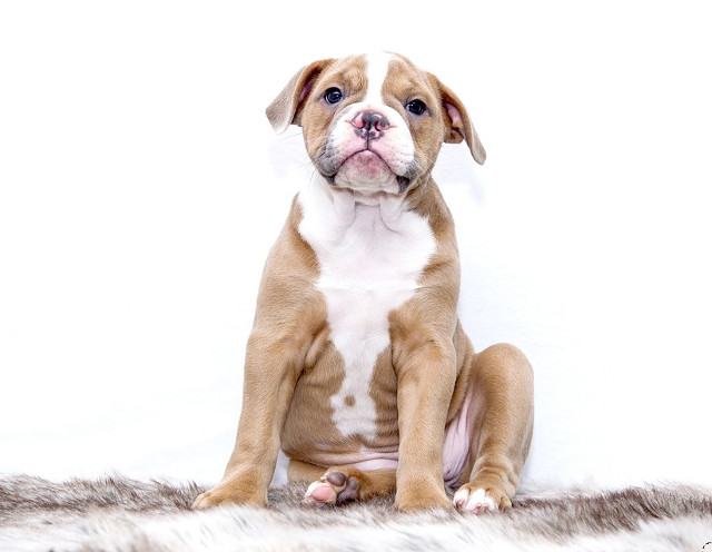 Placerea de a nu face nimic!