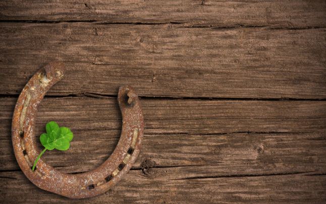 1. Potcoava iti poarta noroc