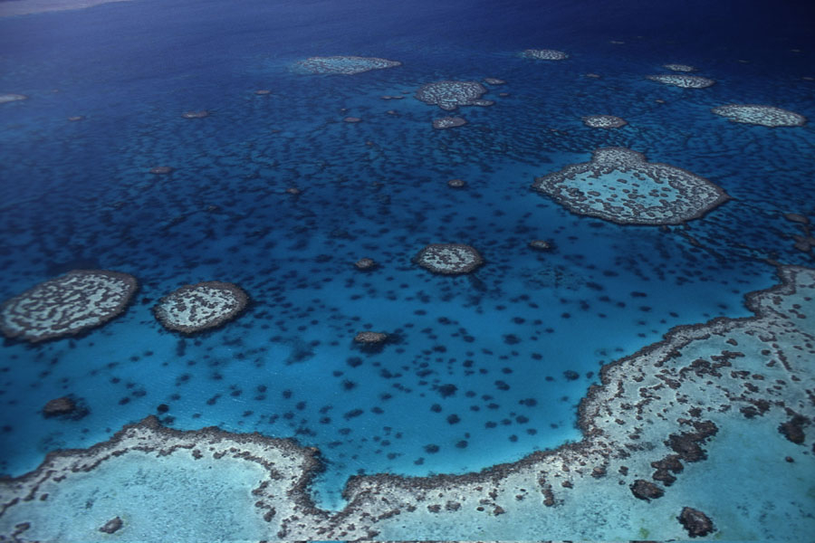 6. Marea bariera de corali Marine Park