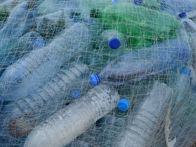 Refolosirea sticlelor de plastic poate afecta sanatatea