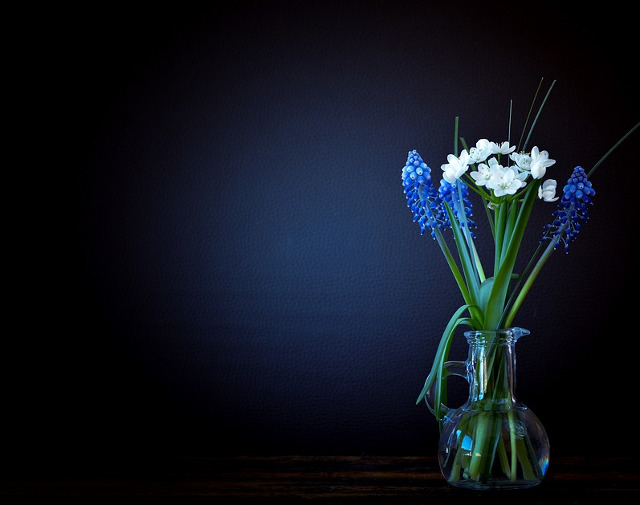 Truc ingenios pentru ingrijirea florilor