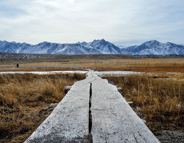 Taramul dintre anotimpul fermecator si cel geros