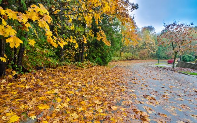 Cei mai multi criminali in serie s-au nascut in noiembrie