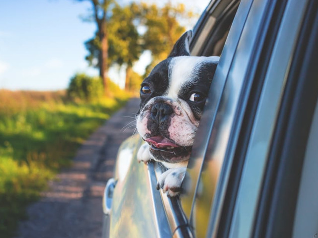 La plimbare cu masina