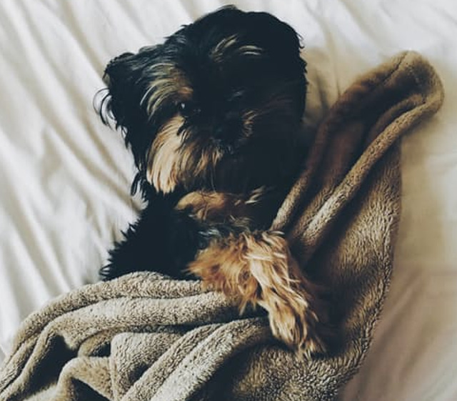 Atunci cand se face prea frig afara...