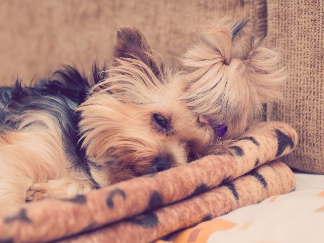 Relaxat