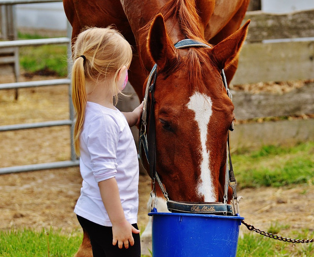 Atasamentul unei fetite fata de un cal