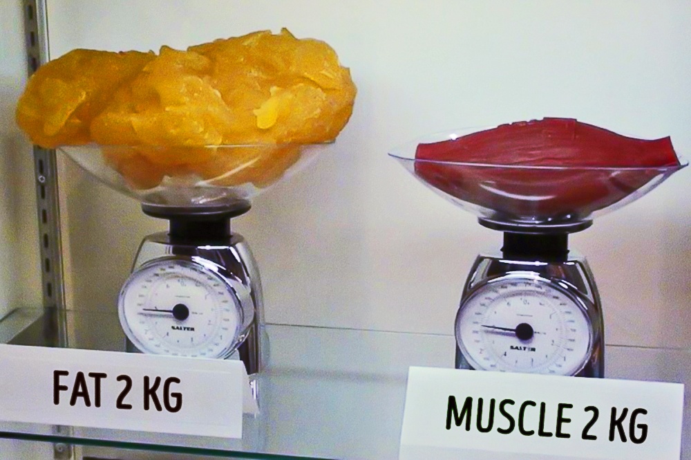 Doua kilograme de grasime, comparate cu doua kilograme de muschi.