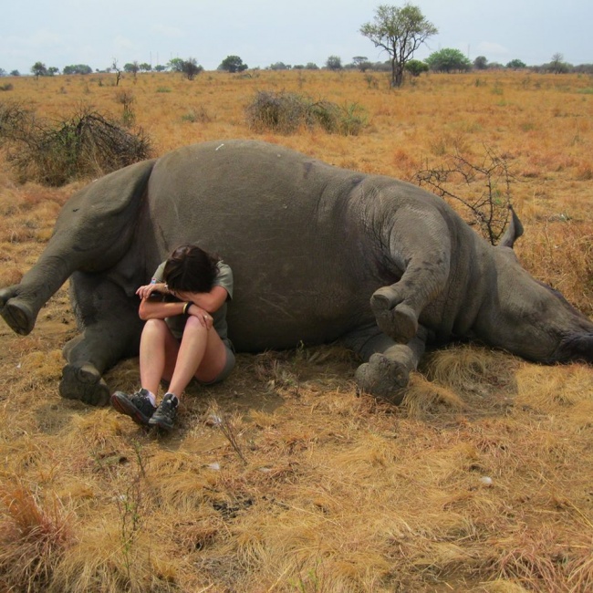 Angajatul unei rezervatii naturale, in lacrimi dupa ce a vazut ca acest rinocer a cazut victima braconierilor