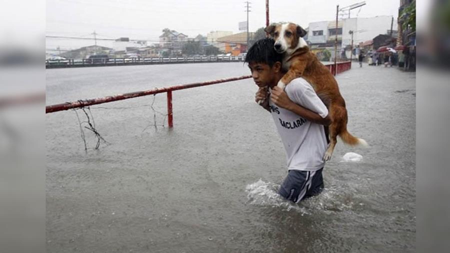 7. Un copil isi salveaza prietenul de la inundatii