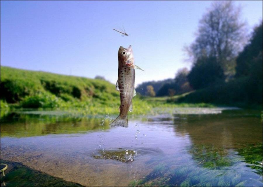 10 poze incredibile facute exact cand trebuie