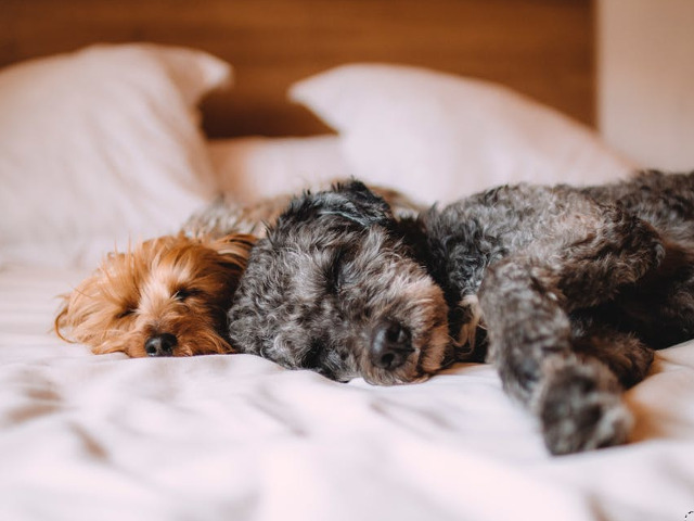 Cei mai buni prieteni!