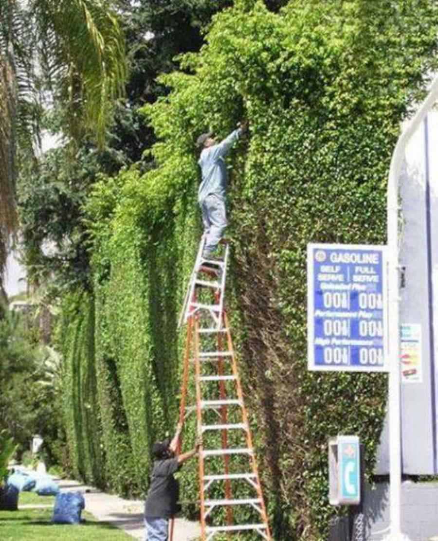 10 oameni care nu tin deloc la sanatatea si siguranta lor