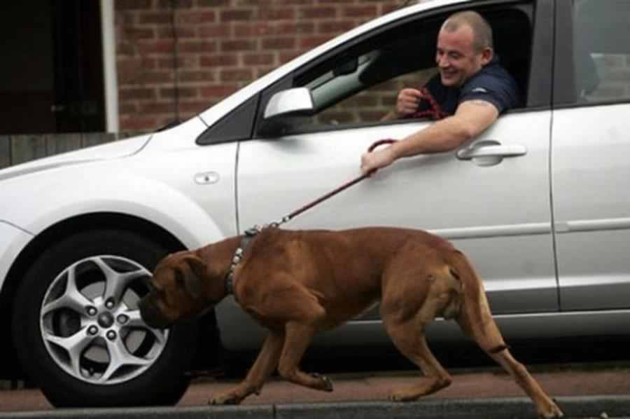 10 fotografii care exemplifica perfect lenea