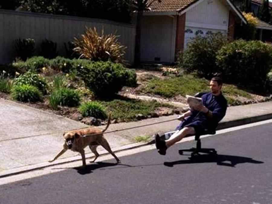 10 fotografii care exemplifica perfect lenea