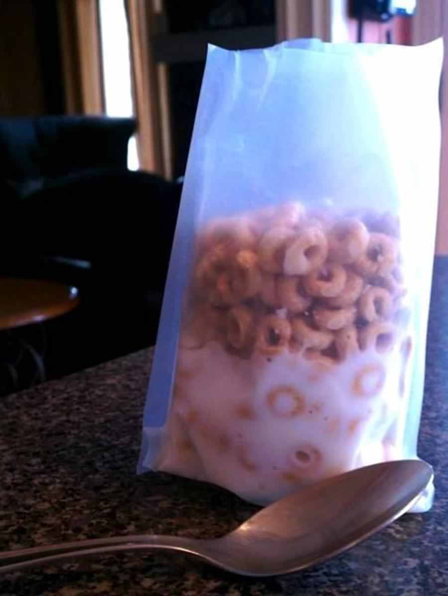 10 fotografii care exemplifica perfect lenea