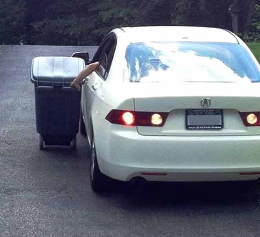 10 fotografii care exemplifica perfect lenea