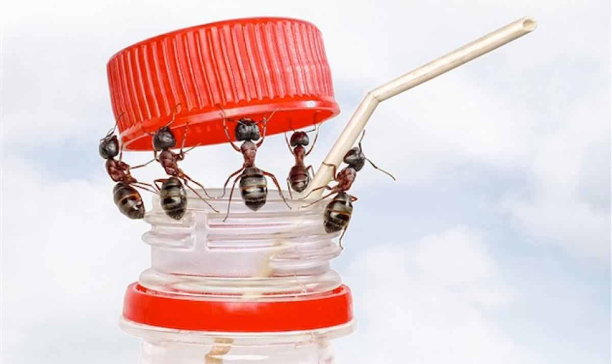 10 imagini splendide care nu au suferit nicio modificare