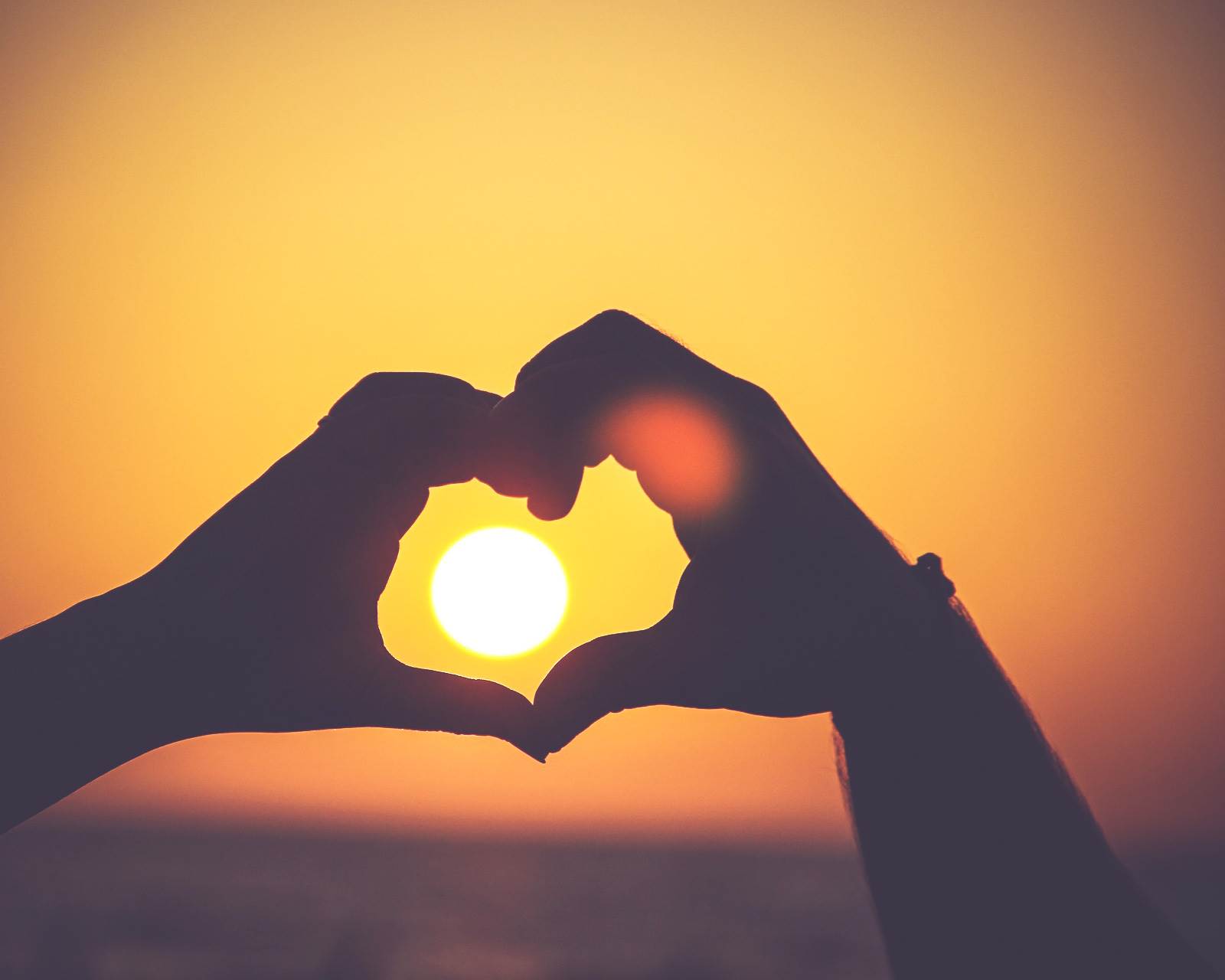 Vizualizati-va telul