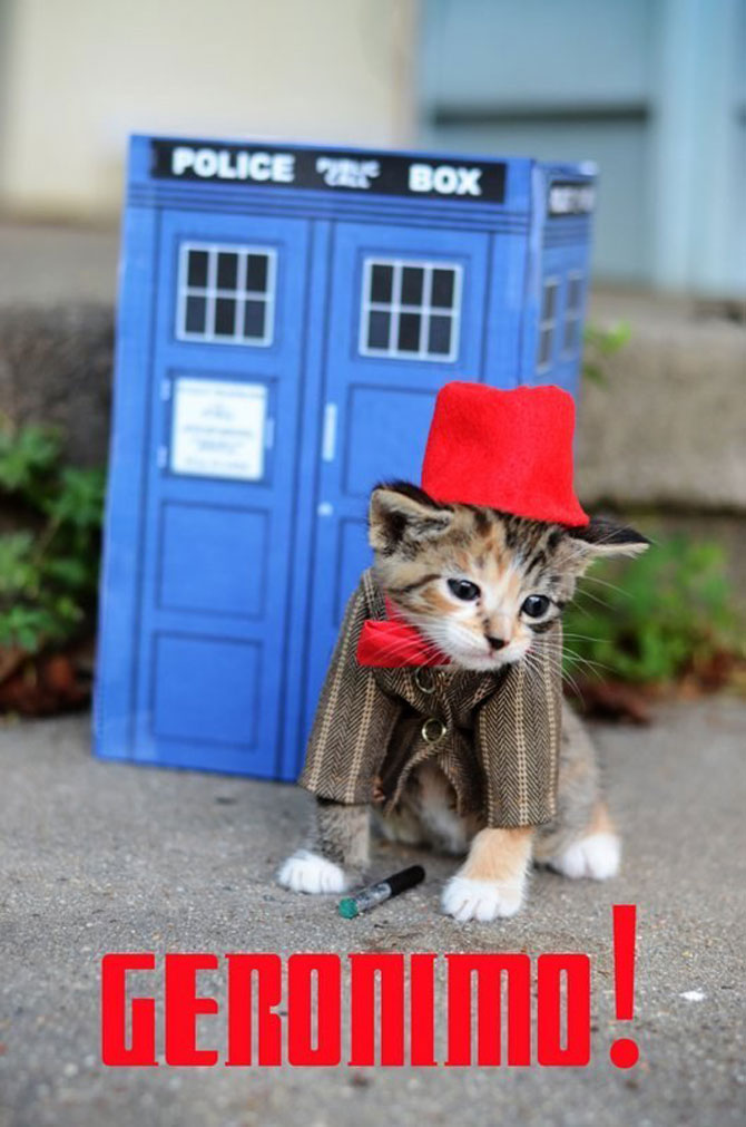 Pisici costumate in personaje celebre