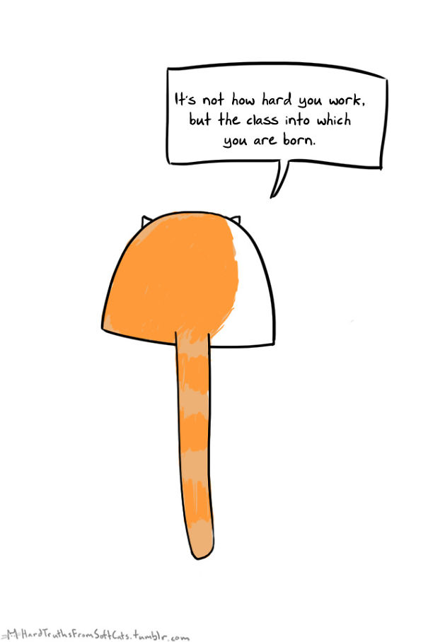 Nu conteaza cat de mult muncesti, important e mediul in care te nasti