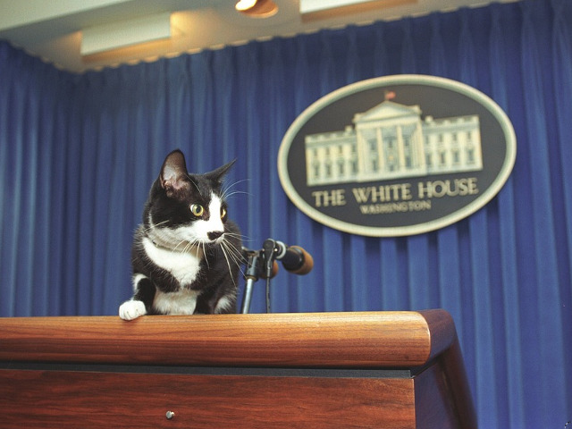 Pregatiri pentru discurs