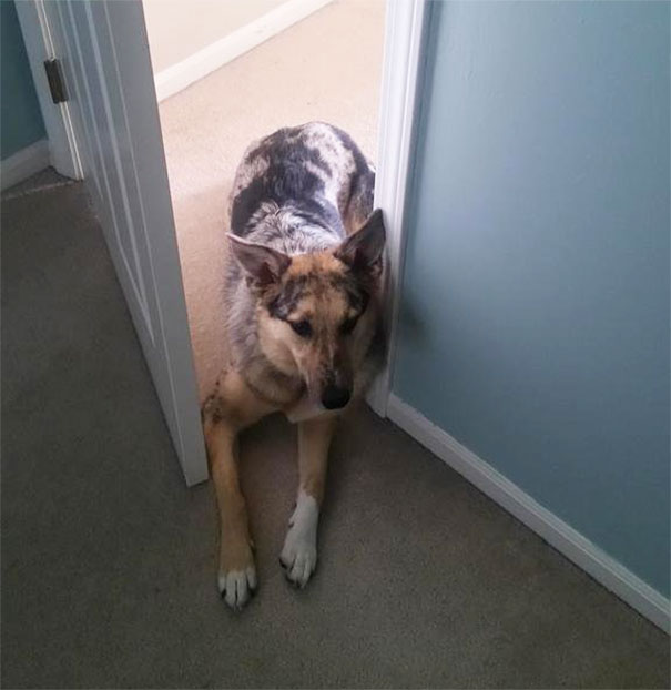 Nu are voie in camera si, de fapt, nu incalca regula, nu?