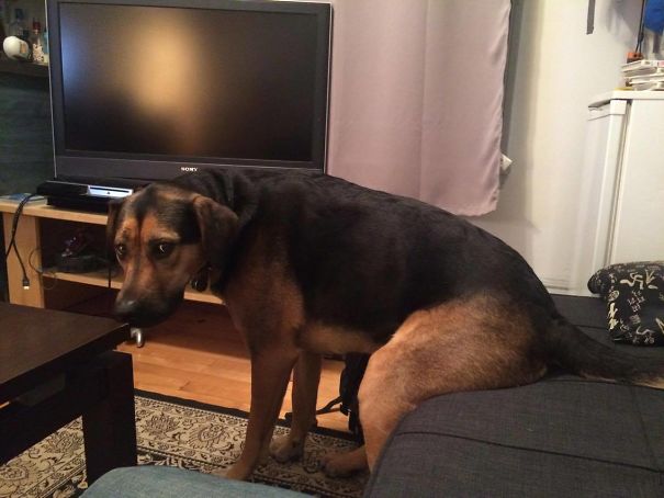 "De fapt, nu sunt pe canapea, pentru ca am picioarele pe podea"