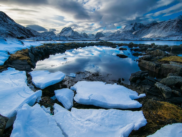 Norvegia