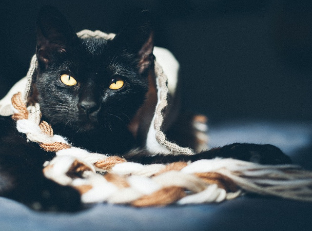 ...nimic nu ti se mai pare atragator