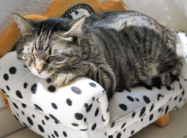 Sa fie efectul soarelui?