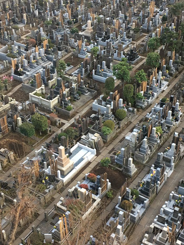 Un cimitir din Tokyo pare, din unghiul potrivit, un oras foarte bine structurat