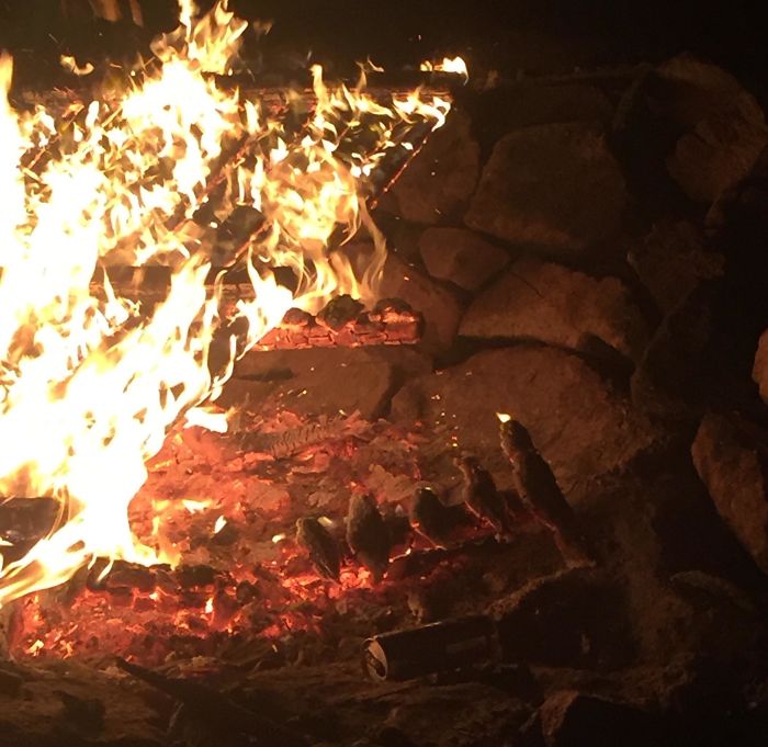 Arta facuta din intamplare: un lemn ars ce pare a reprezenta cateva pasari care se bucura de flacari