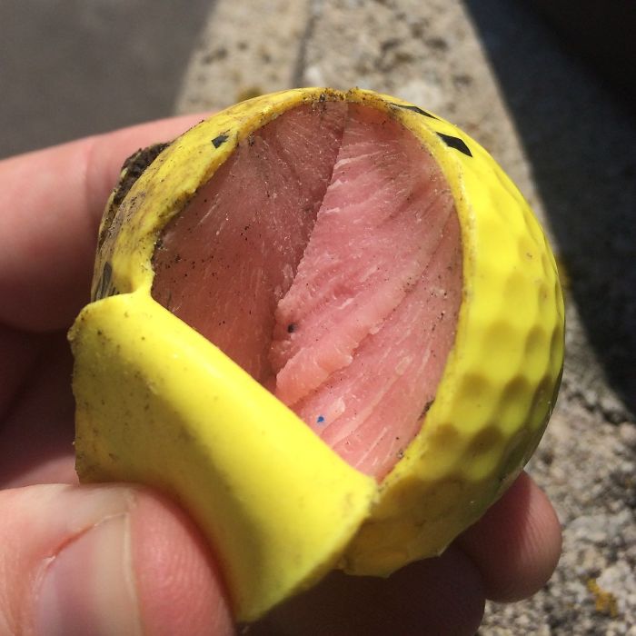 Interiorul unei mingi de golf pare umplut cu carne