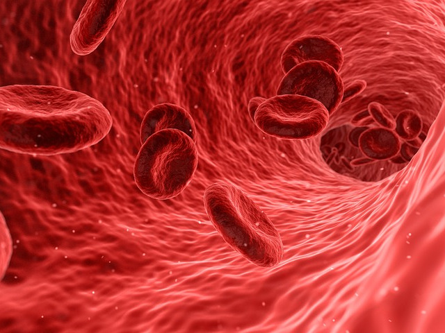 Sânge în urină – hematurie