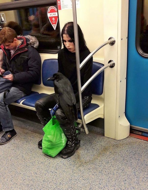 10+ imagini... ciudate facute calatorilor din metrou