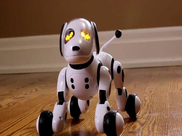 Robotii sunt animale de companie si sunt oferiti drept cadouri, in special copiilor