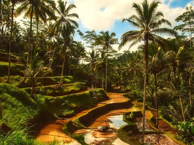 Bali, Indonezia