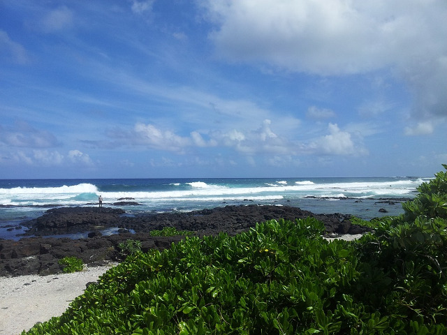 Insula Mauritius