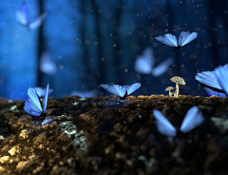 Despre insemnatatea vietii