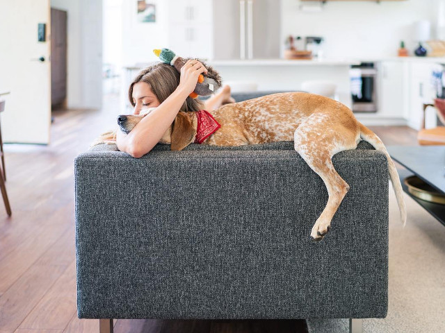 10+ fotografii cu Maddie, catelusa care doarme in cele mai haioase pozitii