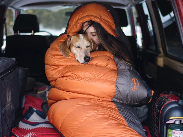 10+ fotografii cu Maddie, catelusa care doarme in cele mai haioase pozitii