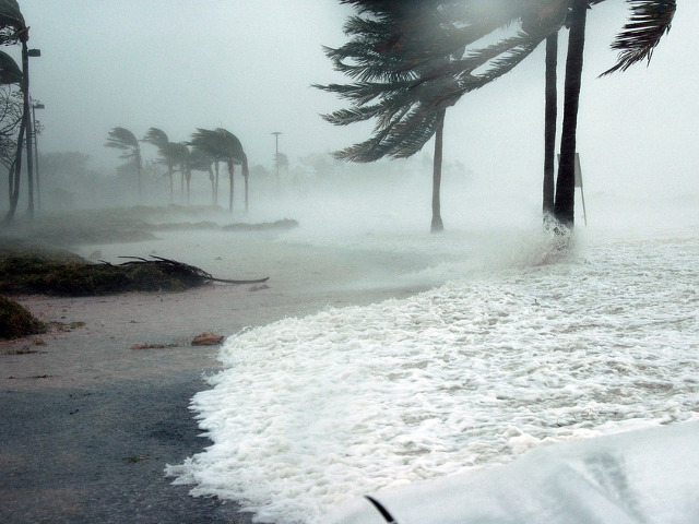 Uraganul Dennis, Florida