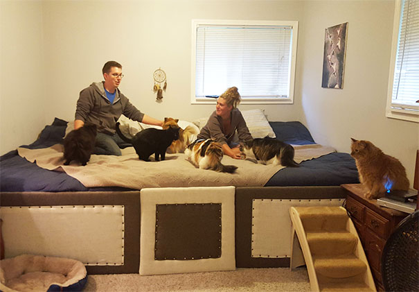 Pentru a face loc tuturor animalelor de companie (5 pisici si 2 caini), acest cuplu si-a facut, la comanda, un pat imens