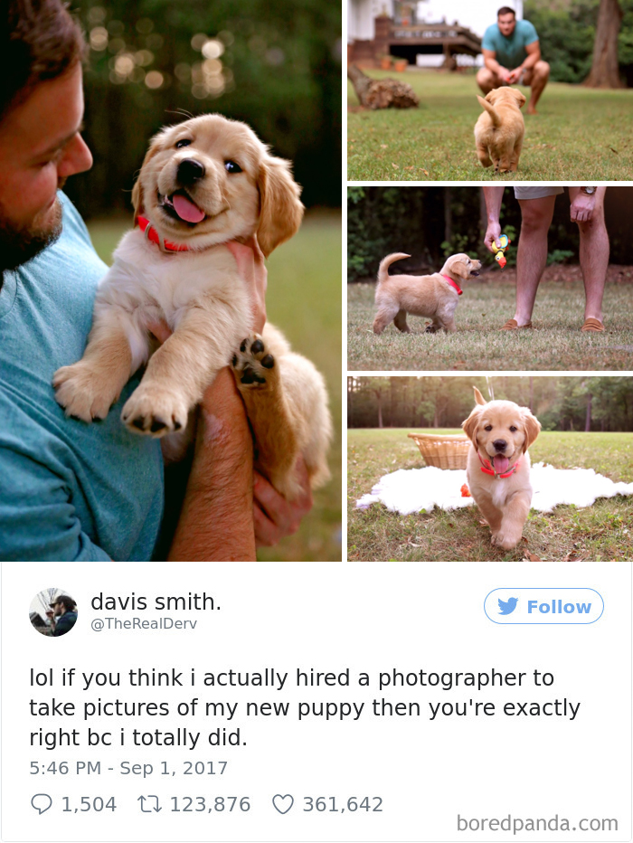 Acest barbat a angajat un fotograf pentru a-i face cainelui sau o sedinta foto profesionista